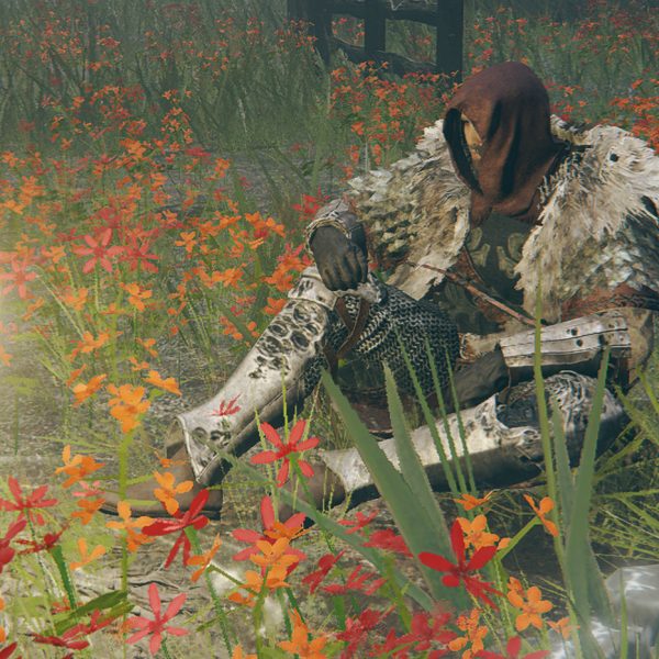 Forest of Flickers